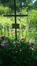Захоронение ID 197003
