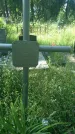 Захоронение ID 197014