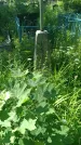 Захоронение ID 197016