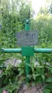 Захоронение ID 197035