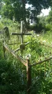 Захоронение ID 197041