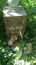 Захоронение ID 197046