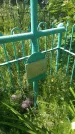 Захоронение ID 197054