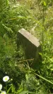 Захоронение ID 197057