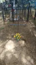 Захоронение ID 197072