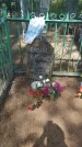 Захоронение ID 197082