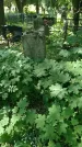 Захоронение ID 197100