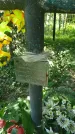 Захоронение ID 197104