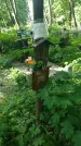 Захоронение ID 197117