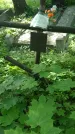 Захоронение ID 197120