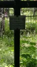 Захоронение ID 197127