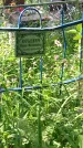 Захоронение ID 197142