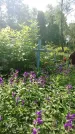 Захоронение ID 197208
