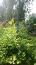 Захоронение ID 197215