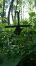 Захоронение ID 197220