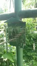 Захоронение ID 197225
