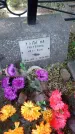 Захоронение ID 197233