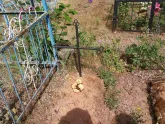 Захоронение ID 197262
