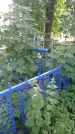 Захоронение ID 197290