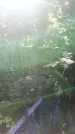 Захоронение ID 197291