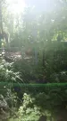 Захоронение ID 197295