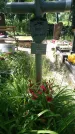 Захоронение ID 197316