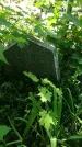 Захоронение ID 197323
