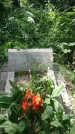 Захоронение ID 197338