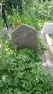 Захоронение ID 197339