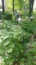 Захоронение ID 197349