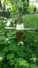 Захоронение ID 197352