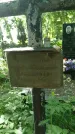 Захоронение ID 197358