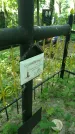 Захоронение ID 197359
