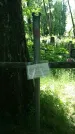Захоронение ID 197362