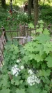 Захоронение ID 197382
