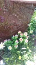 Захоронение ID 197410