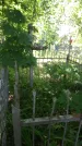Захоронение ID 197424