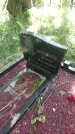Захоронение ID 197428