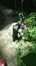 Захоронение ID 197435