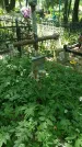 Захоронение ID 197436
