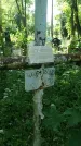 Захоронение ID 197439