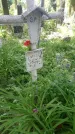 Захоронение ID 197438