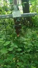 Захоронение ID 197440
