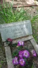 Захоронение ID 197444