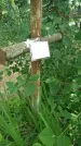 Захоронение ID 197474