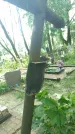 Захоронение ID 197492
