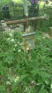 Захоронение ID 197504
