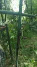 Захоронение ID 197532