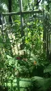 Захоронение ID 197548