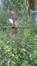 Захоронение ID 197556